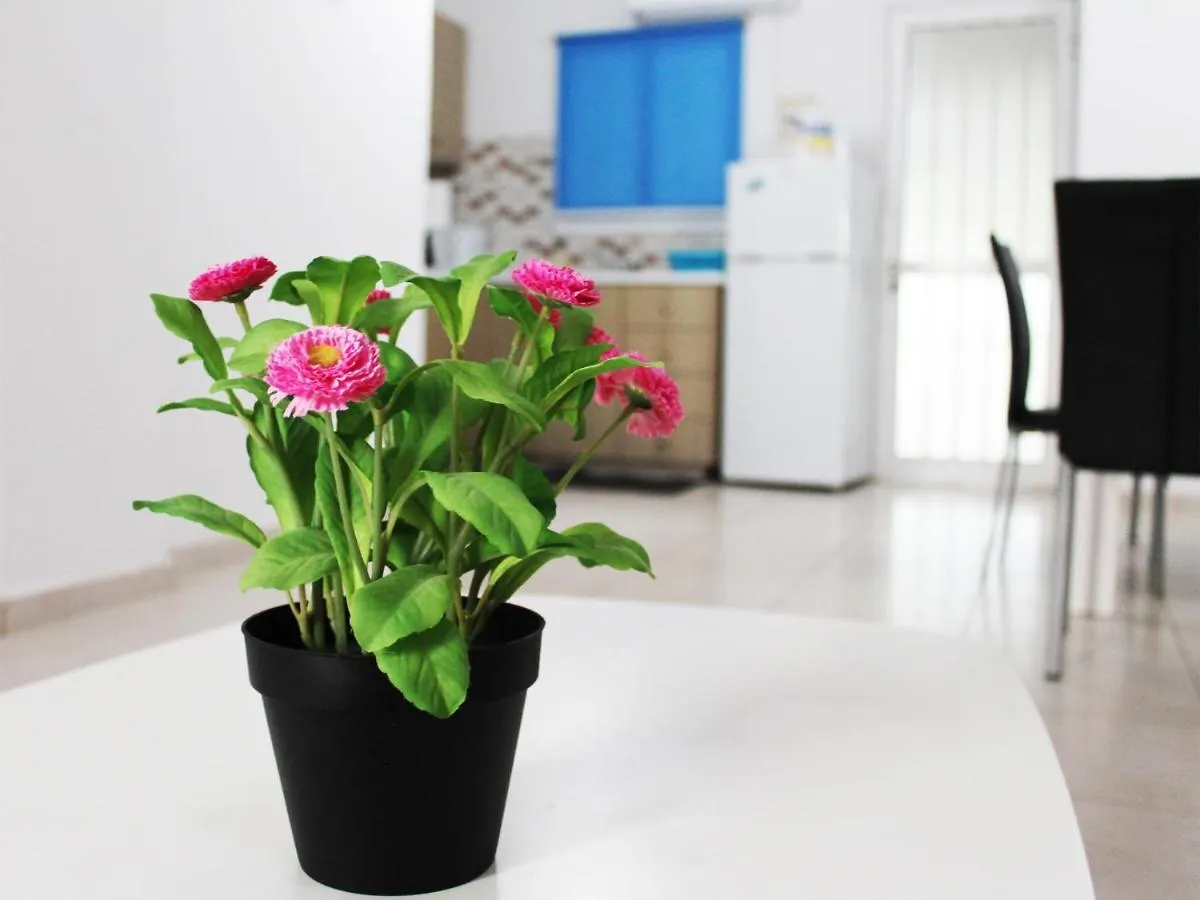 Duplex Comfort Apartments Λάρνακα 0*,  Κύπρος